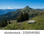 Looking over alpine meadows and forests to snow-capped Mt. Baker.  Washington State