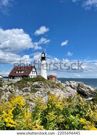 Looking over the blooming wild flowers to see the beautiful Portland Head Lighthouse in Cape Elizabeth, Maine.