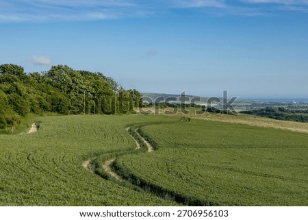 Looking over fields of crops in the South Downs, with the Sussex coast at Seaford and Newhaven in the far distance