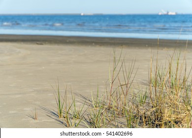 Looking Over The Grass Of A Texas Beach 