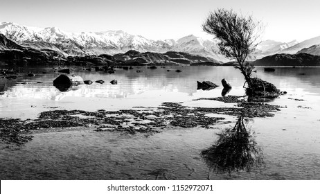 Looking Over Lake Wanka Towards Treble Cone