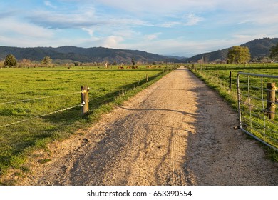 Looking Past A Gate And Down A Dirt Country Road Road During The Late Afternoon And Sunset. Taken In The Bay Of Plenty Region, New Zealand.