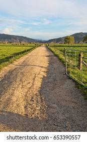 Looking Past A Gate And Down A Dirt Country Road Road During The Late Afternoon And Sunset. Taken In The Bay Of Plenty Region, New Zealand.