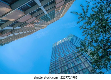 Looking Up At Residential Buildings At A Housing Complex In Austin Texas. Modern City Skyline With Offices Or Apartments Against Trees And Cloudless Blue Sky.