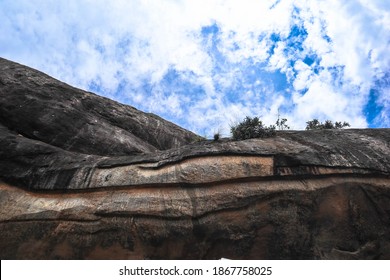 Looking up a rock face to the sky with random plants growing in the rock-face