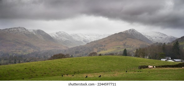 Looking up Rydal Fell towards the distant snow covered summits of Heron Pike, Great Rigg, Fairfield and Dove Crag from near Ambleside in the Cumbrian Lake District Mountains, England UK.