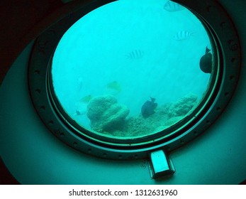 Looking At School Of Fish In Underwater Porthole