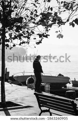 Similar – Image, Stock Photo Look of shame Lake Evening