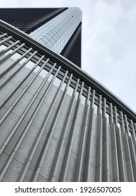 Looking up to the sky