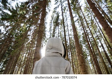 Looking up for the sky