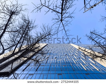 Looking up at the sky where tree branches interweave with modern buildings