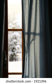 Looking at snowy pine tree from chalet window
