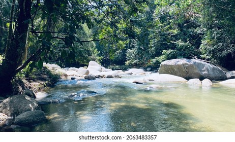 looking for solace in a mini waterfall river
