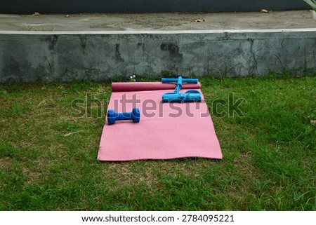 Looking straight down from an elevated position, a pink yoga mat, a blue body trimmer tool, and a blue dumbbell weight are neatly displayed on a lush green lawn in a city park.