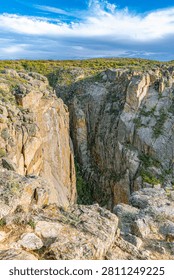 Looking straight down a narrow vertical slot of schist canyon walls framed by scrub oak, Black Canyon of the Gunnison NP, Colorado.