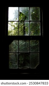 Looking through the broken window of a cabin at the forest