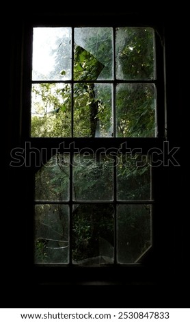 Looking through the broken window of a cabin at the forest