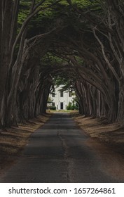 Looking through the Cypress Tree Tunnel to the North District Operations Center in the Point Reyes National Seashore, near Inverness, Califonia, United States.