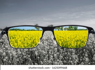 Looking through glasses to colorful nature landscape with blue sky and yellow field. Different world perception. Optimism, hopefulness, mental health concept. 
