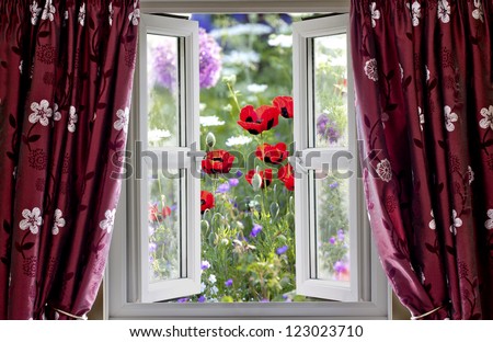 Similar – Image, Stock Photo Poppy flower looks through the garden fence