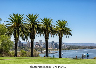 Looking through the palm trees in Kings Park to Perth