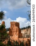 Looking through pine trees at castle shaped orange rock hoodoo, summer vacation exploring in Bryce Canyon National Park, Utah

