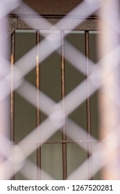 Looking Through The Steel Grilles Into The Narrow Wall, Looking Uncomfortable And Not Happy.