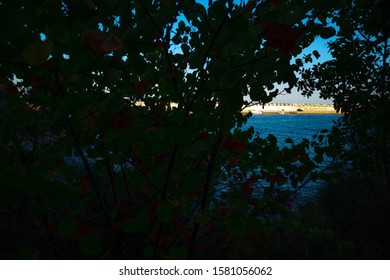 looking through the trees at the beach