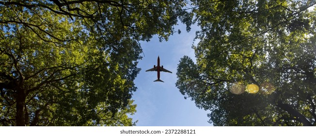 looking up through trees to a plane flying overhead.