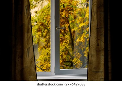Looking through a window frame at a yard filled with colorful autumn trees and decorative curtains framing the scene