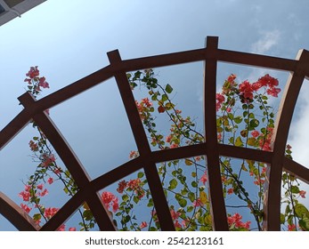 Looking up through a wooden trellis adorned with pink flowers and green vines against a clear blue sky. Perfect for nature, garden, and architecture themes. - Powered by Shutterstock