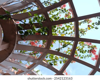 Looking up through a wooden trellis adorned with pink flowers and green vines against a clear blue sky. Perfect for nature, garden, and architecture themes. - Powered by Shutterstock