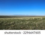 Looking toward the Big Snowy Mountains from SE of Harlowton, MT 