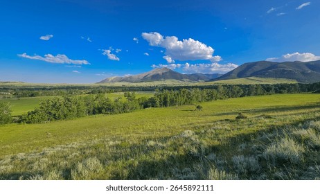 Looking toward Mt. Maurice in the Beartooth Mountains from Grizzly Peak Rd. W of Red Lodge, MT 