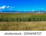 Looking toward Sacagawea Peak in the Bridger Range from Frontage Rd. SE of Belgrade, MT 