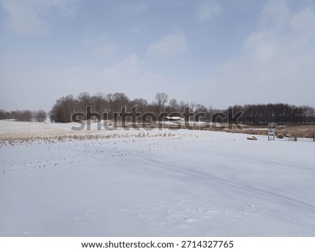Looking toward the windmill and barn on a snowy day at Huston-Brumbaugh Nature Center in Minerva, Ohio in December, 2025