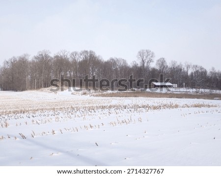 Looking toward the windmill and barn on a snowy day at Huston-Brumbaugh Nature Center in Minerva, Ohio in December, 2025