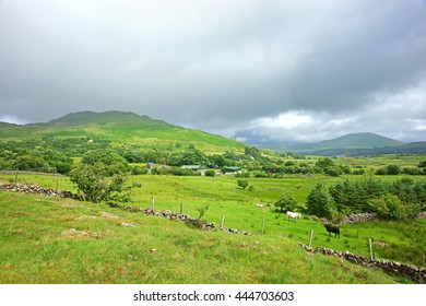 Looking Towards Across Open Countryside From Joyce's Country Towards Lough Mask In Summer Time, County Mayo, Ireland