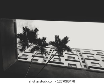 Looking Way Up 