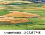 Looking at the yellow and green fields from a height