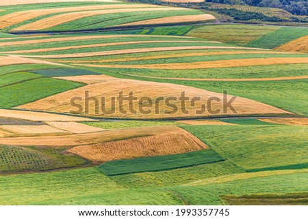 Looking at the yellow and green fields from a height