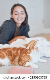 Looks Like Someone Needs A Cat Nap. Shot Of A Cat Yawning While Bonding With Its Owner At Home.