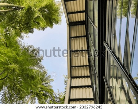 Lookup photos of architectural details: white PVC roof, louvre windows, and black steel frames with blue sky and tropical plants Brazilian Fern Schizolobium parahyba