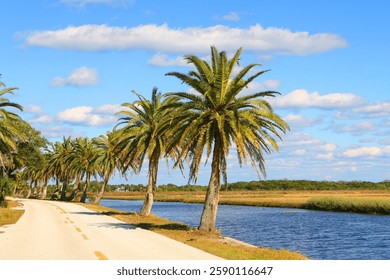 The Loop Drive Ormond Beach Florida