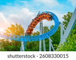 Loop metal frame of a roller coaster in an amusement park. Rollercoaster cart with people riding it goes high speed through loop upside down in trees bushes city park.