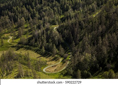 loop mountain roads padded through the forest