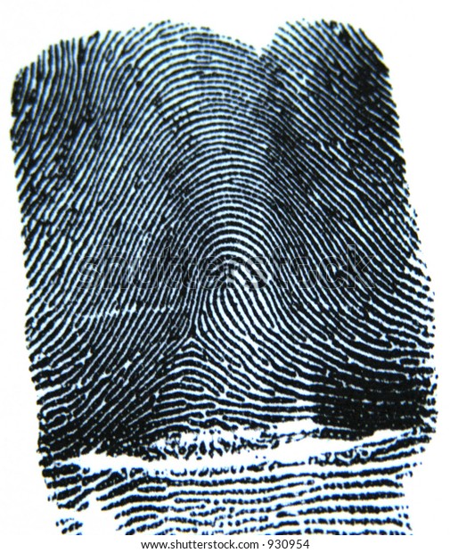 loop fingerprint