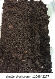 Loose Black Loam For Planting Trees