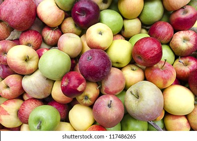 Loose, Bulk Apples, Mixed Varieties, Red, Golden, And Green, At Harvest Time.