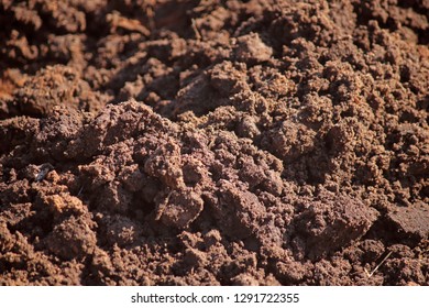 473 Disturbed soil Images, Stock Photos & Vectors | Shutterstock